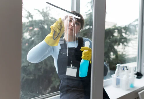 Nettoyage de vitres intérieures et extérieures à Preuschdorf